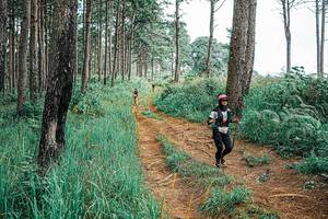 BIB: 
                            <button type="button" onclick="openModal(25654330)" class="btn btn-primary btn-sm float-right btn-popup" data-toggle="modal" data-target=".modal-high-quality">
                        <i class="fas fa-shopping-cart"></i> Add to Cart
                    </button>
                                            <button type="button" onclick="isThisMe(25654330, true)" class="btn btn-success btn-sm float-right btn-popup btn-isme hidden" data-toggle="tooltip" data-placement="bottom" title="นี่คือรูปของคุณใช่ไหม คลิกที่นี่เพื่อเอาเข้าอัลบั้ม">
                        <i class="fas fa-plus"></i> Add to album
                    </button>
                    <button type="button" onclick="isThisMe(25654330, false)" class="btn btn-warning btn-sm float-right btn-popup btn-isnotme hidden">
                        <i class="fas fa-ban"></i> Remove from album
                    </button>